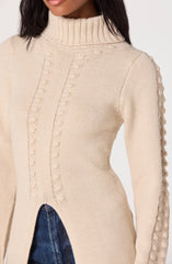 Turtleneck Split Hem Longline Sweater